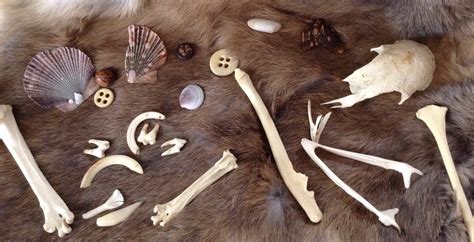 Ethical Considerations and Practices in Bone Divination